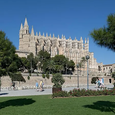 Owl Bernat - 10 Min Walk To The *