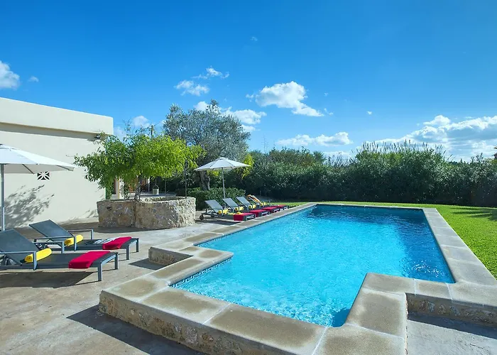 Owl Bernat - 10 Min Walk To The