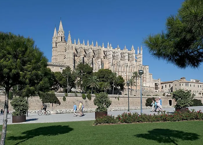 Owl Bernat - 10 Min Walk To The *